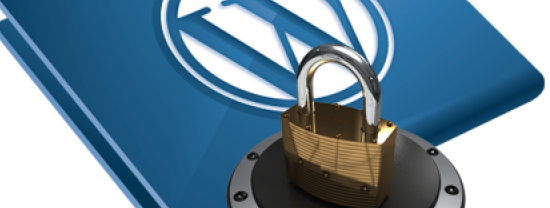 Backup WordPress Backup WordPress