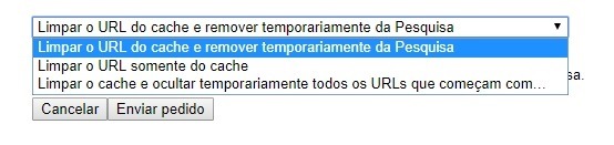 Ferramenta remover página do Google