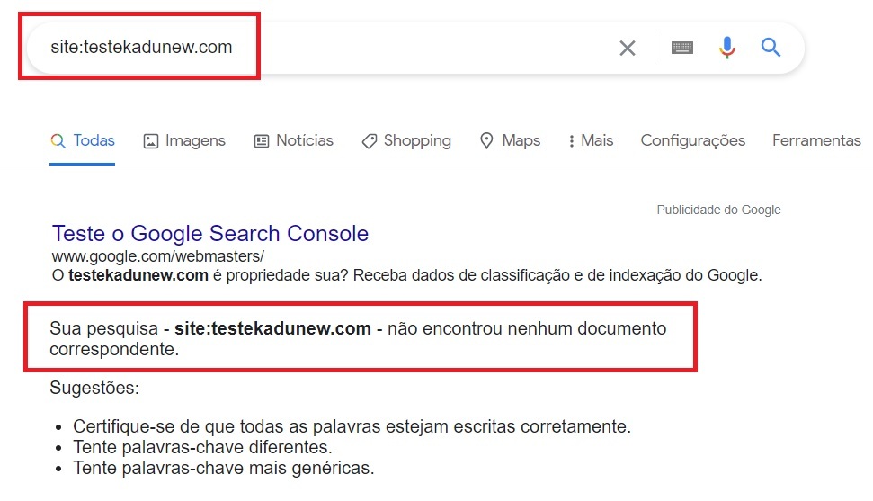 Teste para saber se o site está no Google